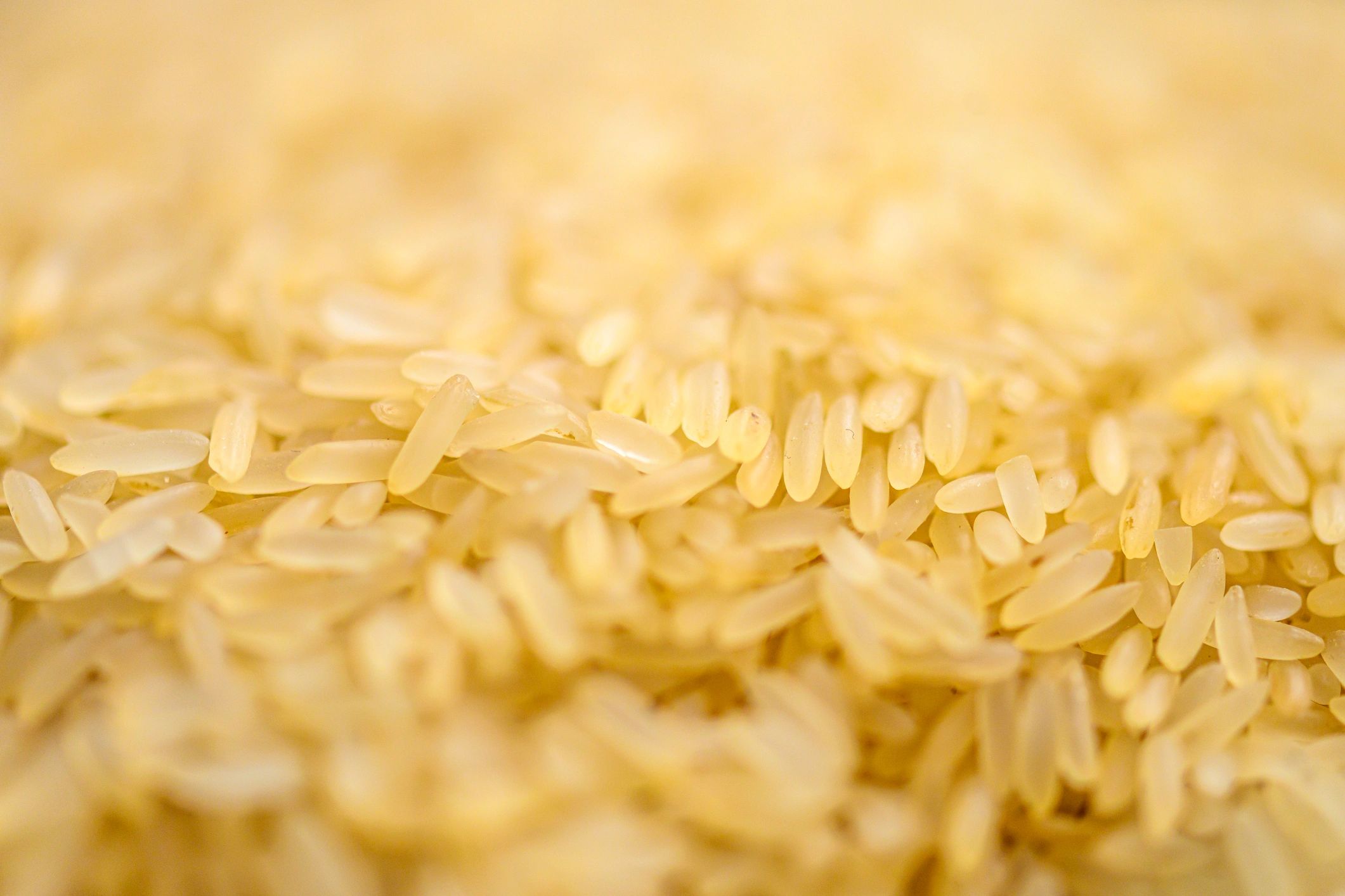 Close-up of rice grains showing texture and uniformity