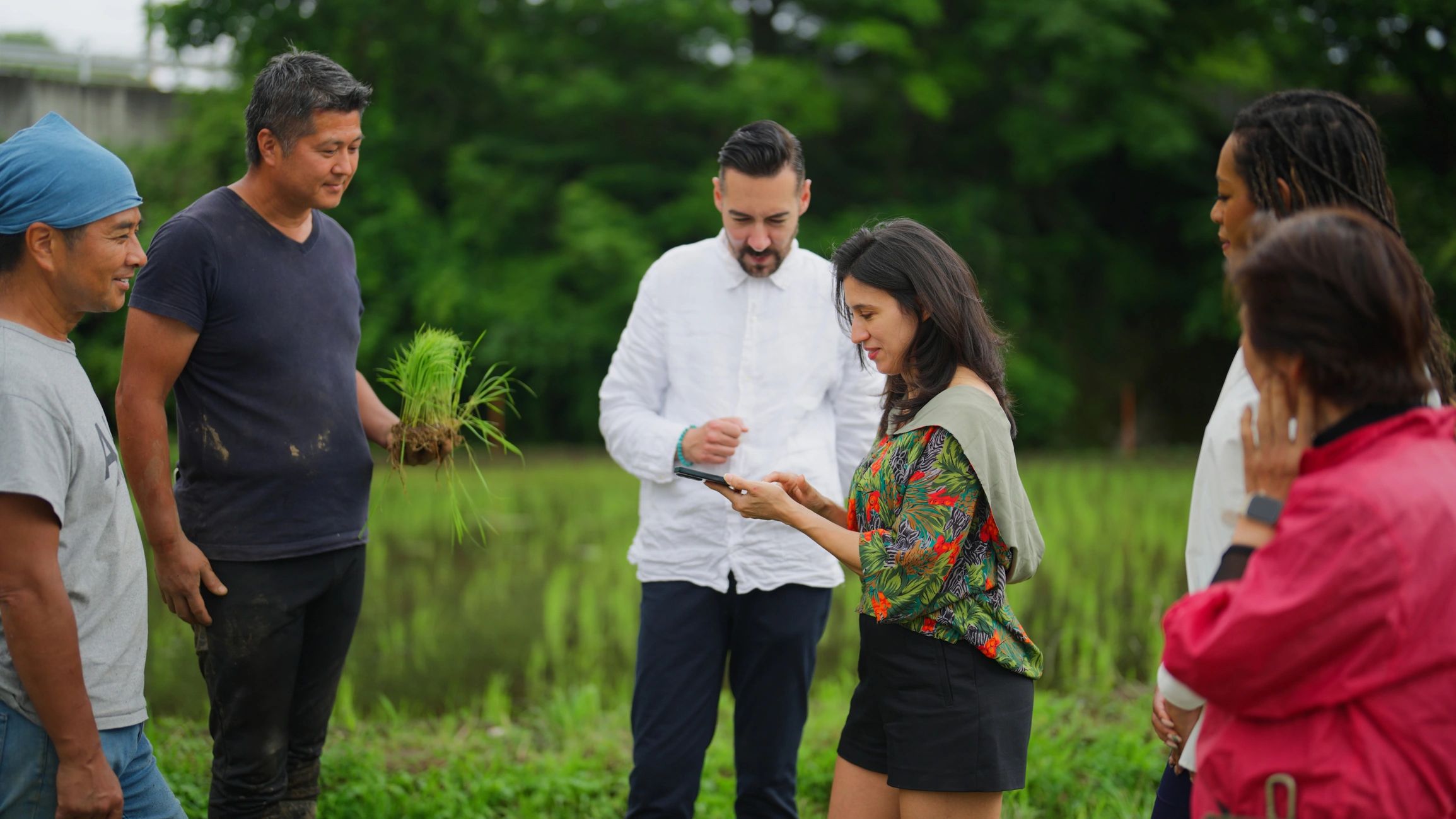 People visiting a rice field and discussing sourcing