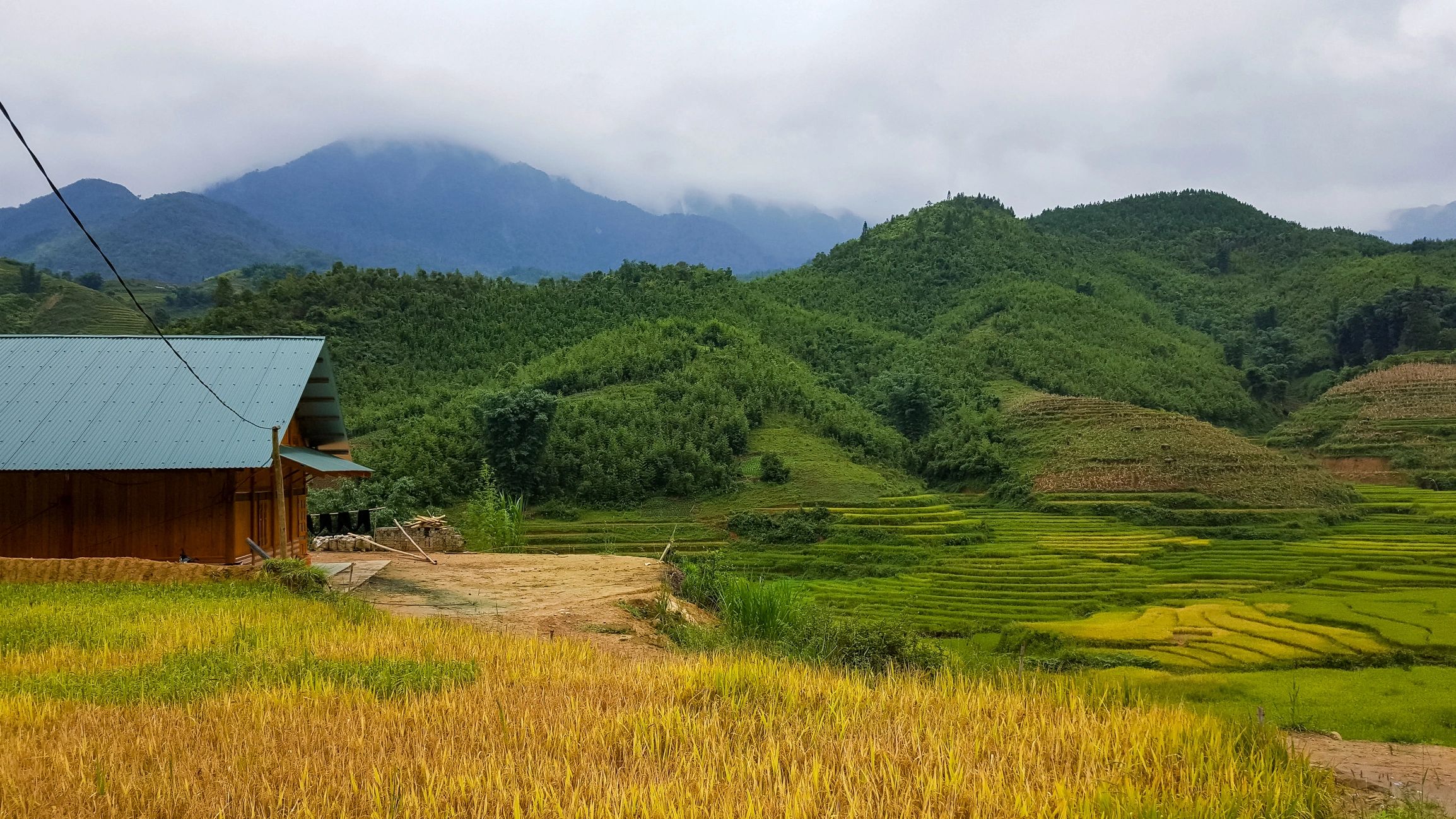 Vietnam rice terraces representing origin sourcing in Vietnam