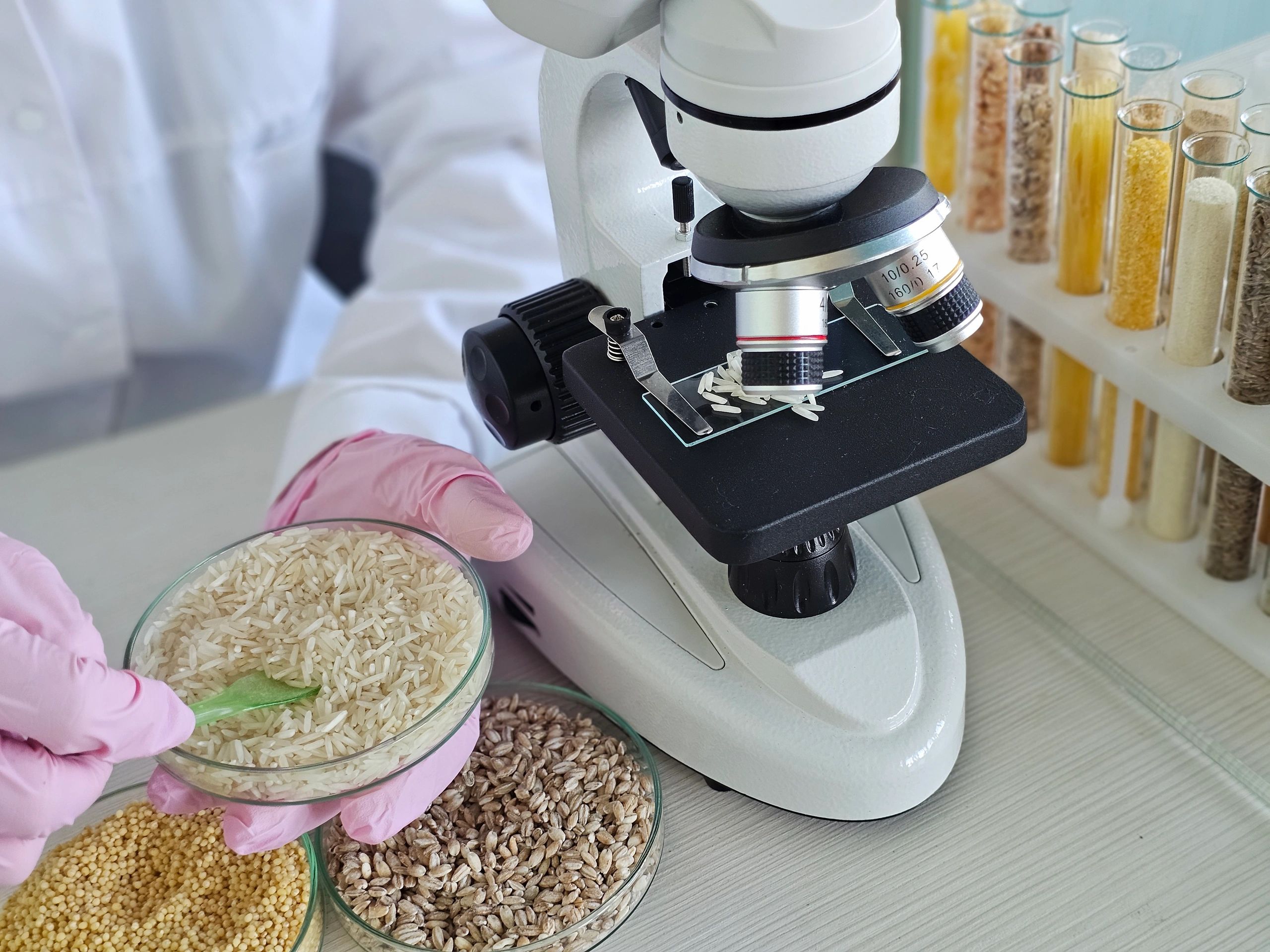 Close-up of grains representing quality control and testing