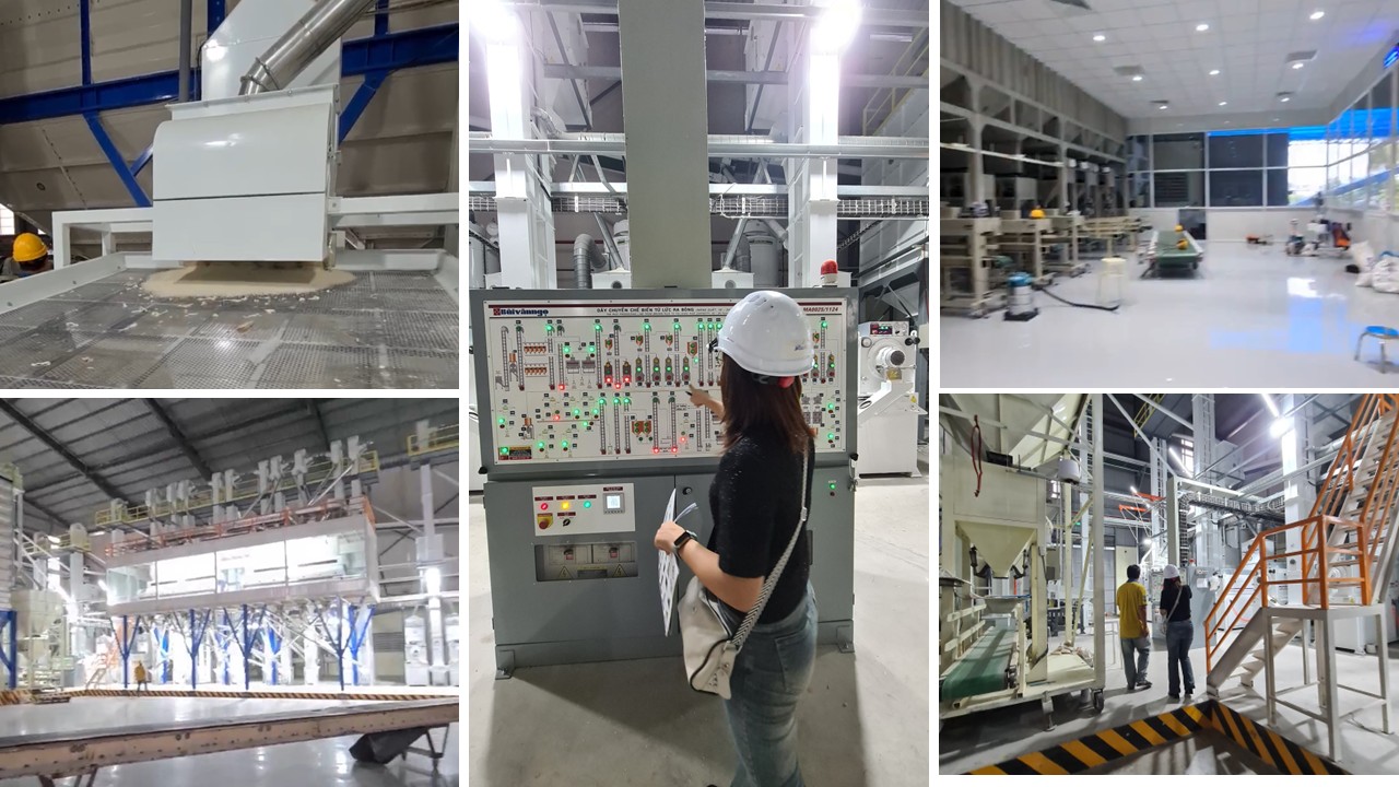 Factory facility and capability at The Lily Foods in Vietnam