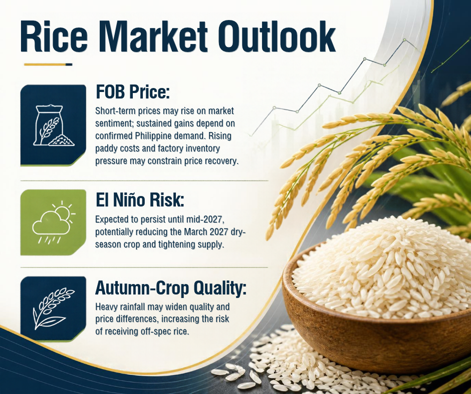 Procurement Rice Intelligence Report — October 16, 2026
